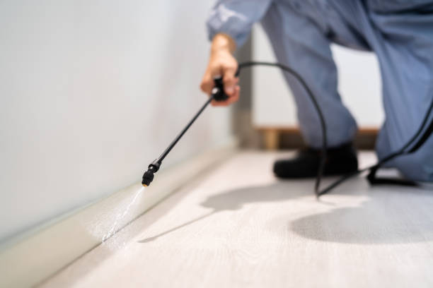 Licensed Fumigation Services service in Placer County County, CA - Nex Pest Control